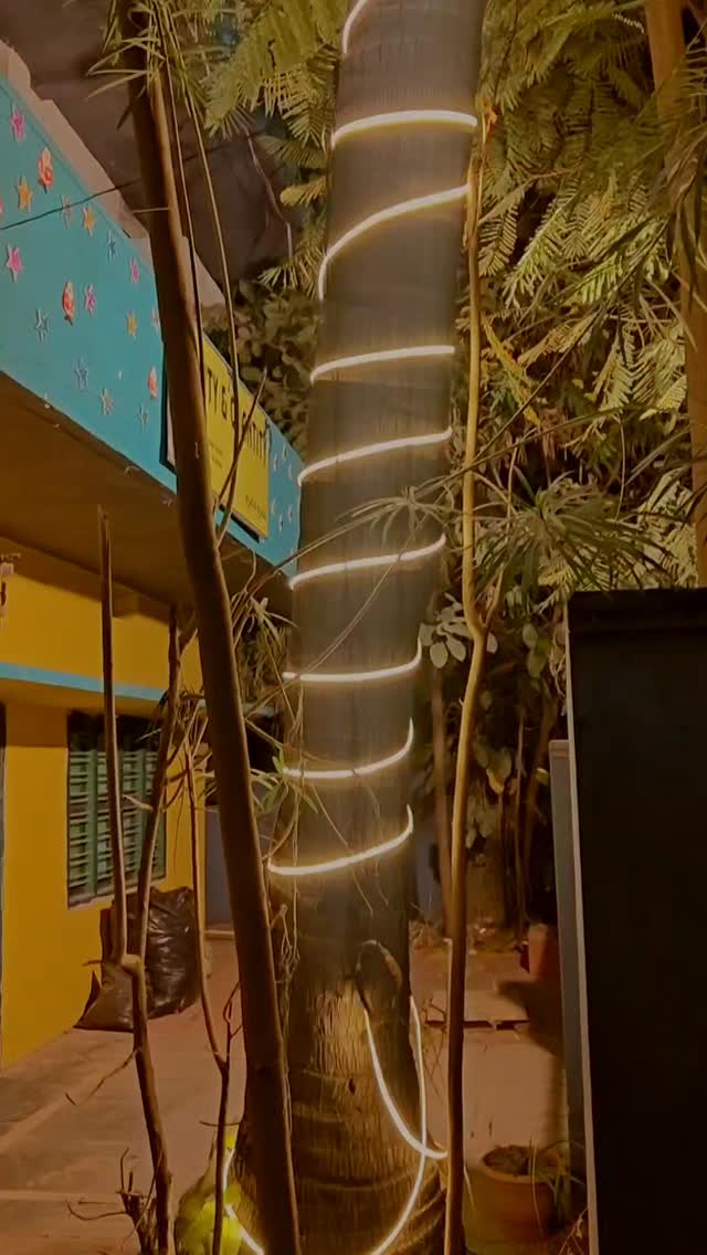 Fairy lights wrapped around the tree outside QnQ Cafe, Defence Colony Road Sainikpuri at night